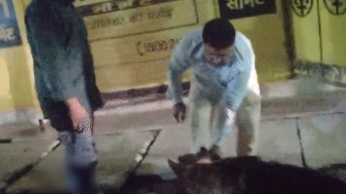 कानपुर में युवक को बीच सड़क लात-घूसों से पीटा