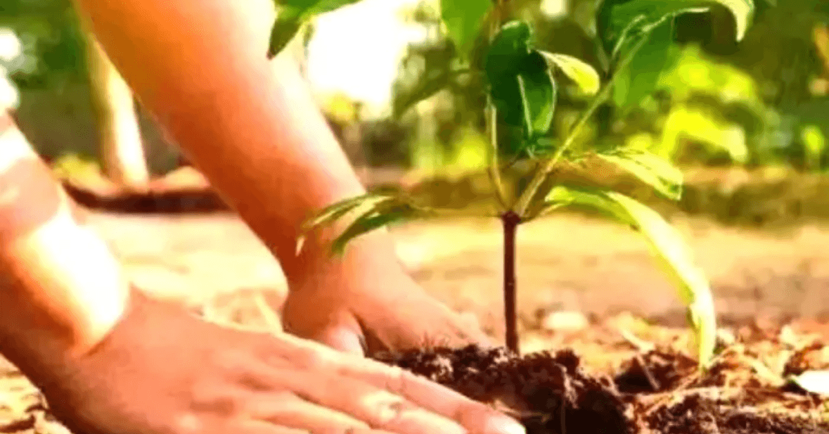 ग्राम्य विकास विभाग