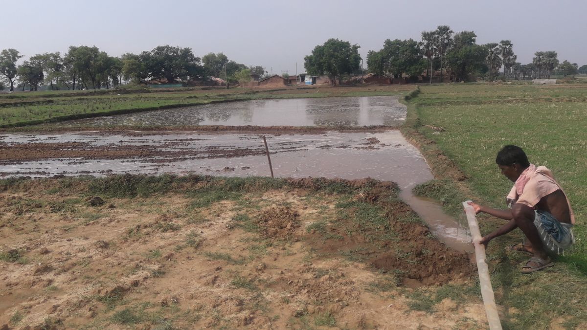 मानसून रूठा, बारिश न होने से दरकने लगे धान के खेत
