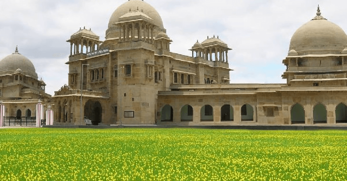 सीएसए कानपुर ने विकसित की सरसों की नई प्रजाति