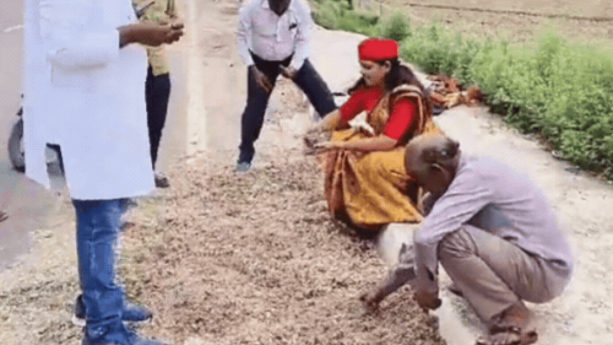 कानपुर के बिल्हौर में मिले कुतरे हुए नोट