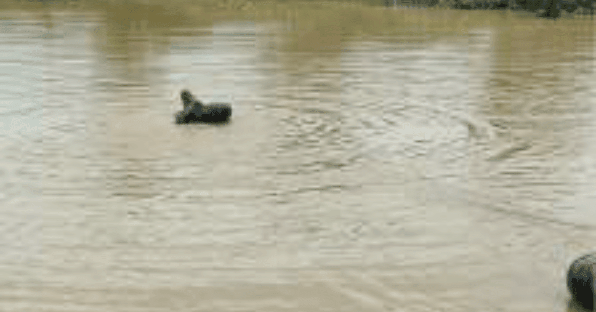 यमुना एक्सप्रेस वे के इंटरचेंज पर बने गड्ढे में डूबे चार बच्चों की मौत