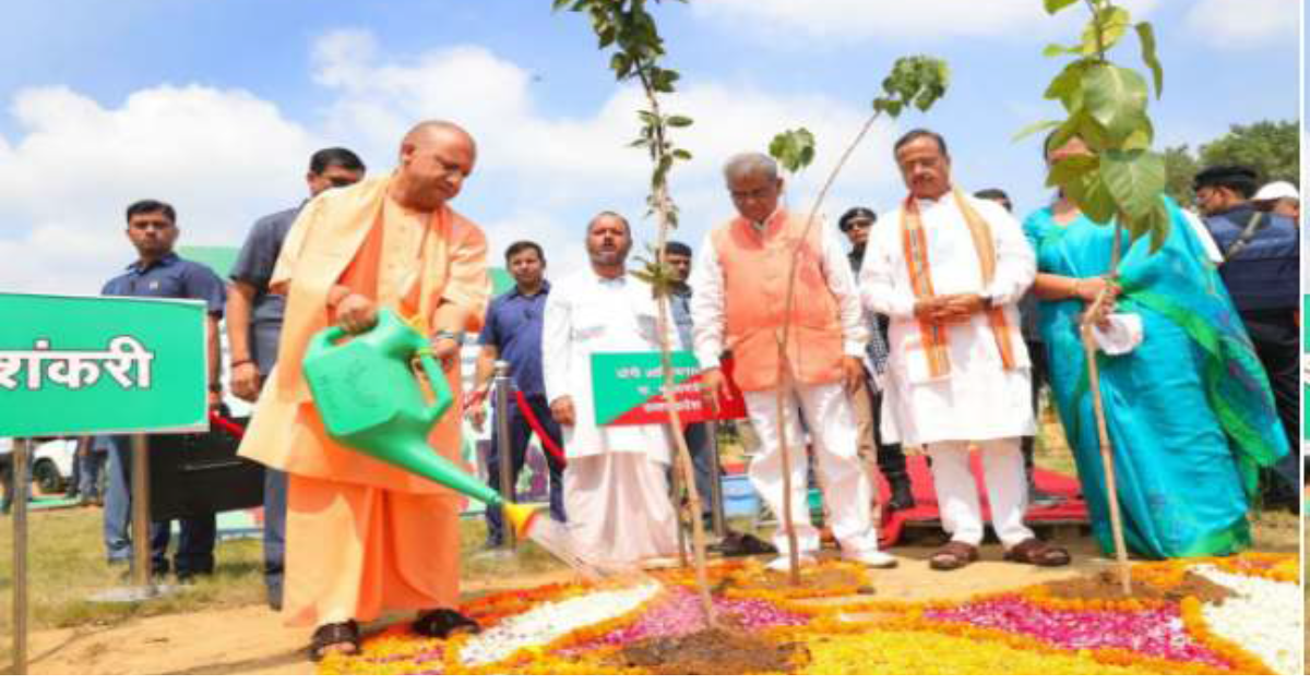 लोकप्रिय हो रहा है पेड़ जियाओं अभियान