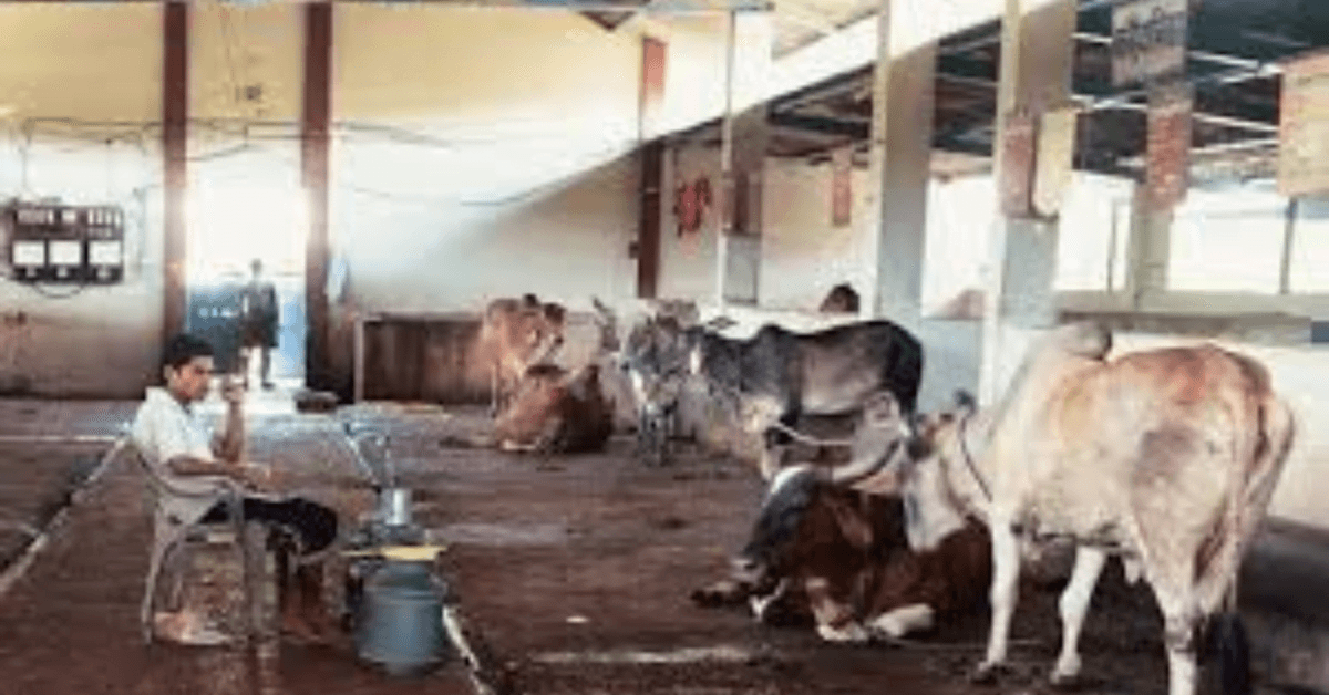 बजरंग दल ने गौ हत्या के आरोपियों पर कड़ी कार्यवाही कि मांग की