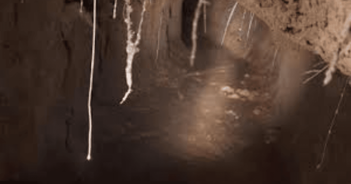 प.बंगाल के साउथ 24 परगना में सुरंग मिली