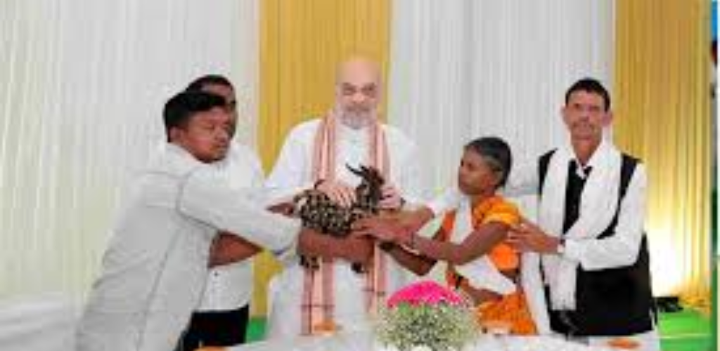 from Naxalite violence from suffering people Mile Shah