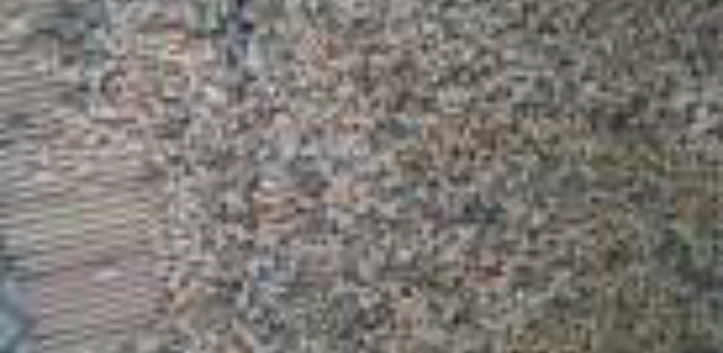 विद्यालय के मिड डे मिल राशन में मिले कंकड़-पत्थर, ग्रामीणों ने किया विरोध