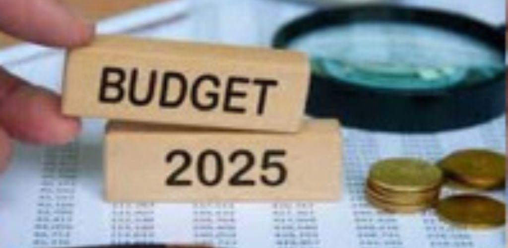 उद्योग जगत को आम बजट में विकास को गति देने वाले उपायों की उम्मीद